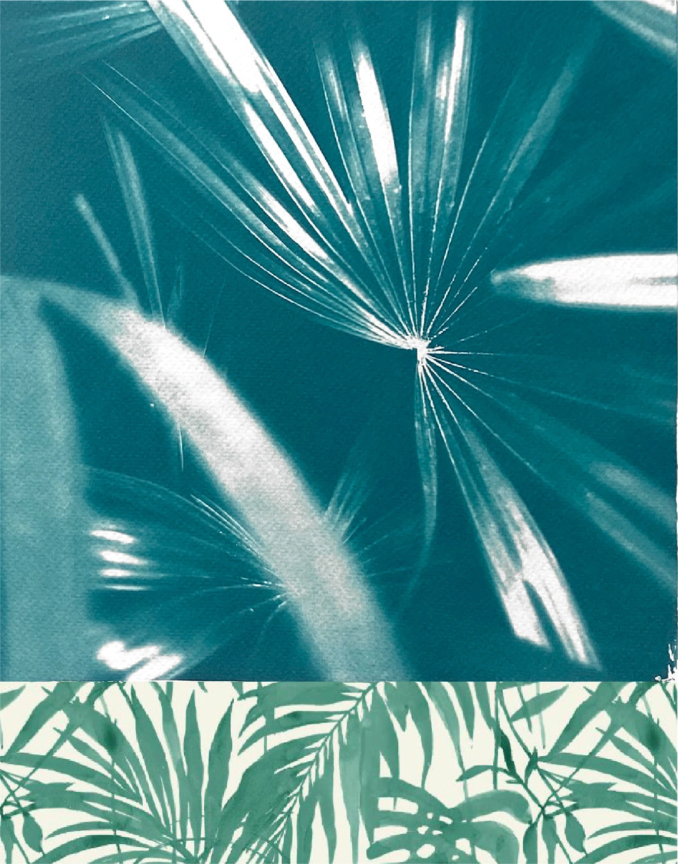 Art board Signature Suite